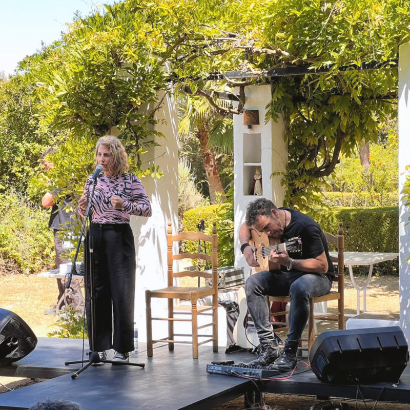 dialibro2023-cabecera-800x800