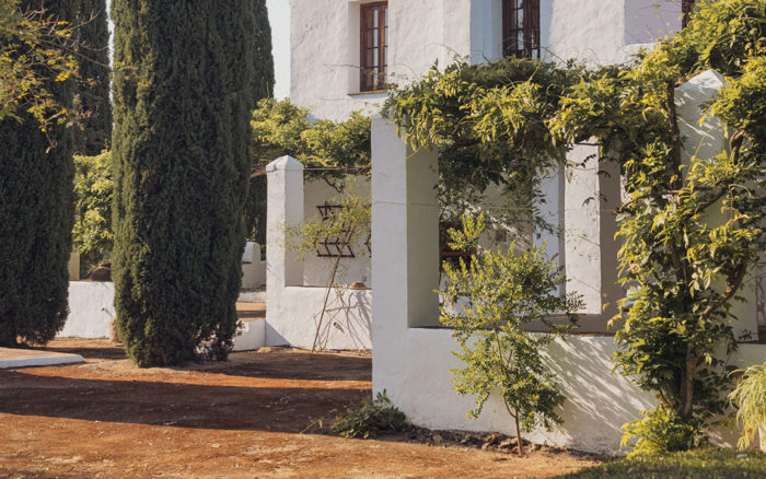 galeria-baltasara-3-700x438